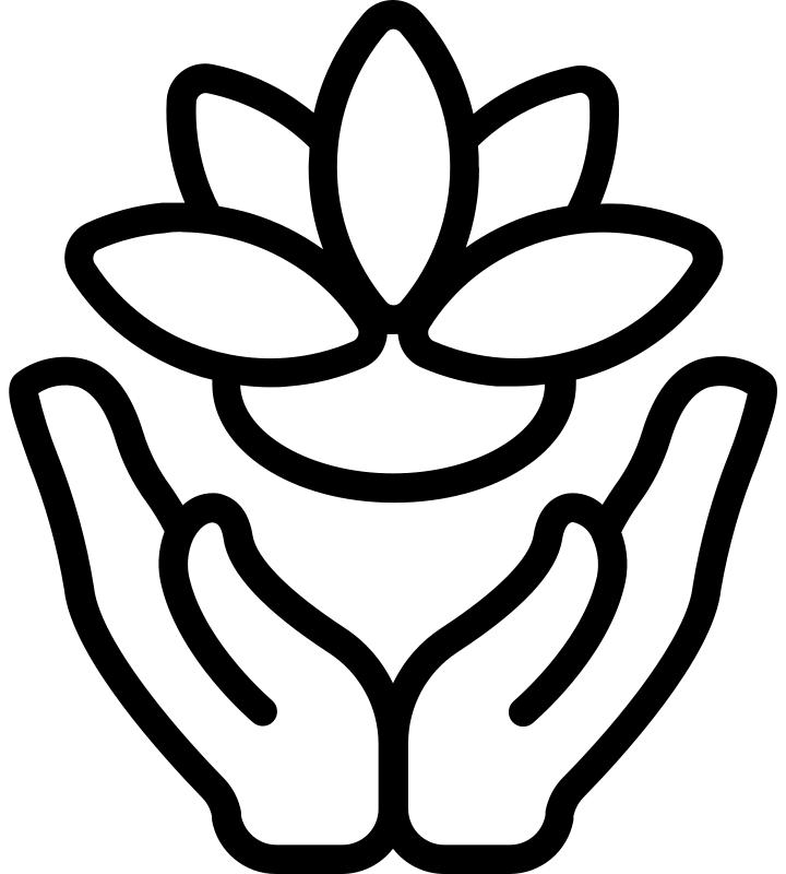 Master Esthetics program icon